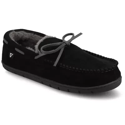 Hayden Slippers