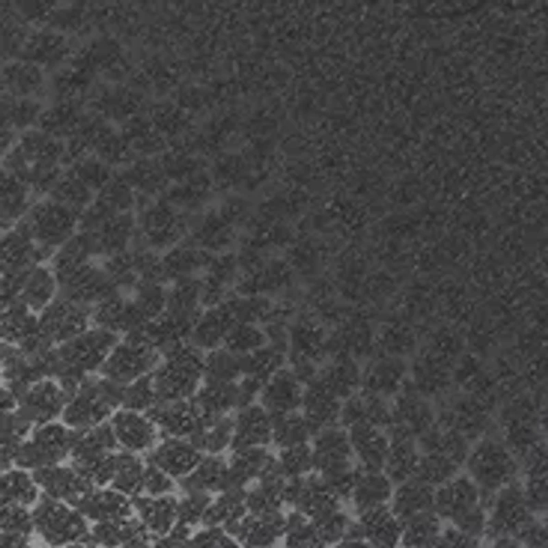 Fanning Slide Sandals