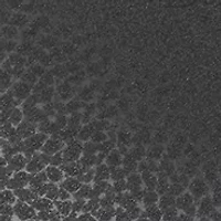 Fanning Slide Sandals