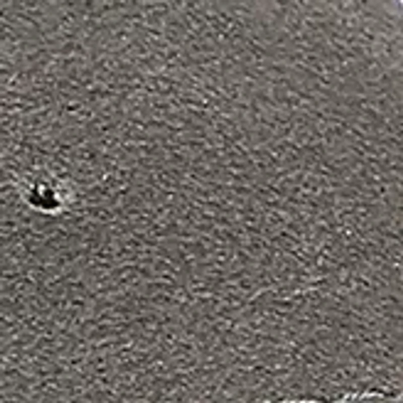 Phoenix Cork Footbed Sandals