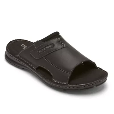 Darwyn 2 Slides
