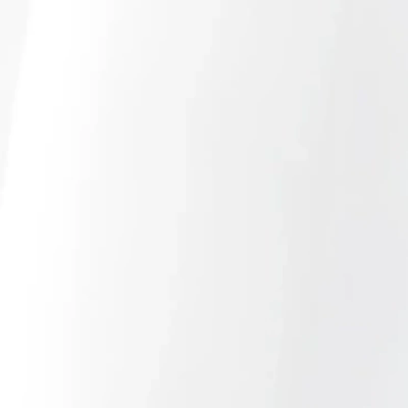 Rain and Stain Shoe Repellant