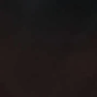 Paco Casual Slip-On Loafer