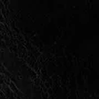 Lawstin Lace up Oxford