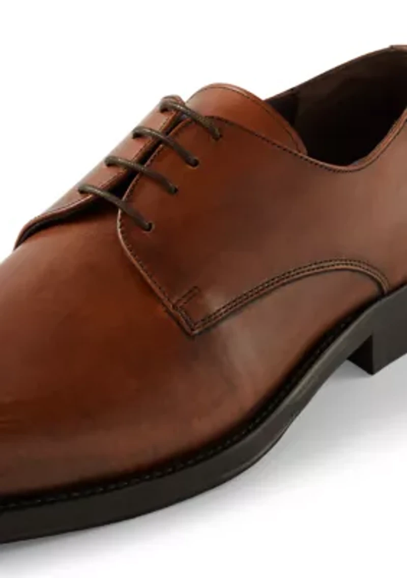 Cilo Oxfords