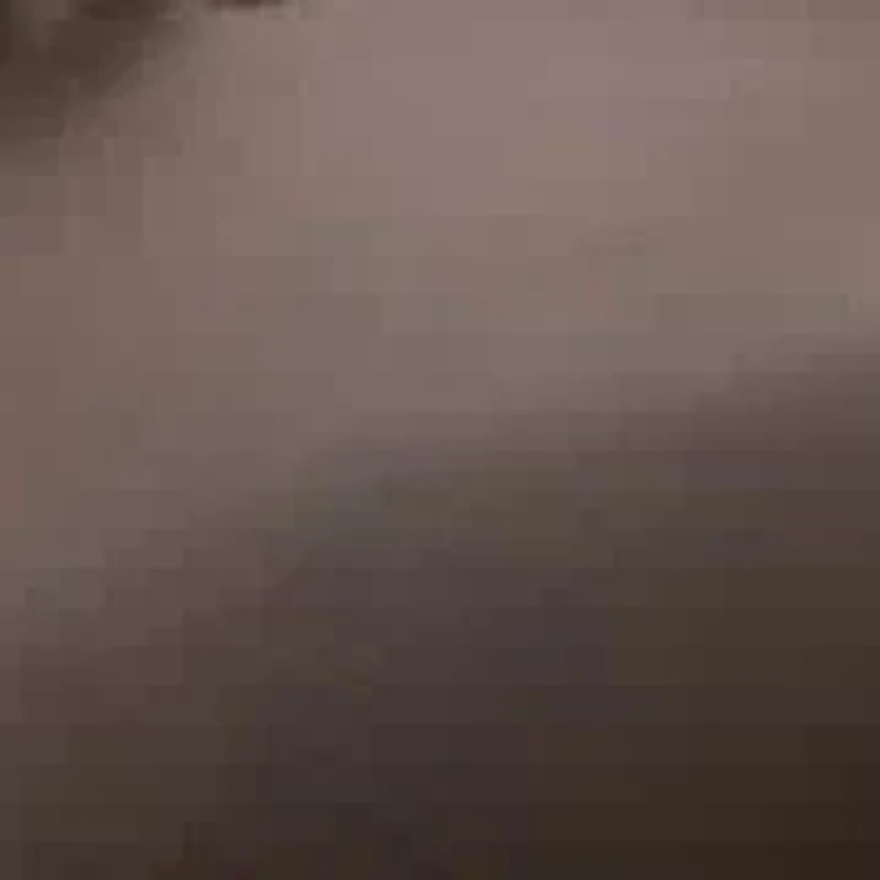 Men's Wilderness Sneakers