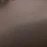 Men's Wilderness Sneakers