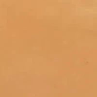 Men's Drifter Lo LX Boot