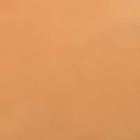 Men's Convoy Fleece 6-Inch Boot