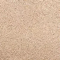 Eastport Padded Suede Sandals