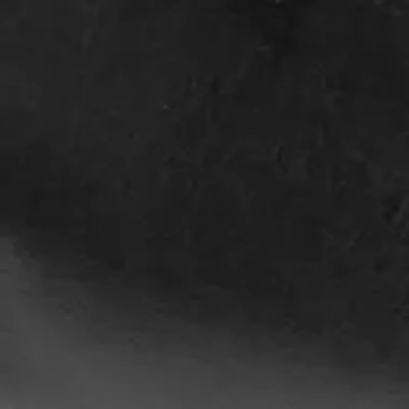 Patrick Penny Loafers