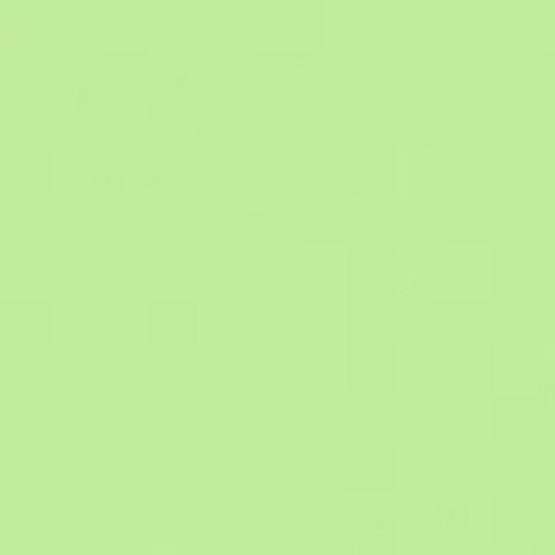 Toddler Boys Polo Shorts Set