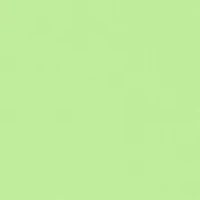 Toddler Boys Polo Shorts Set