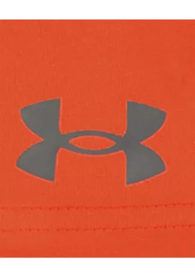 Toddler Boys Graphic Shirt and Shorts Set