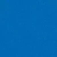 Toddler Boys Fish Splash Set