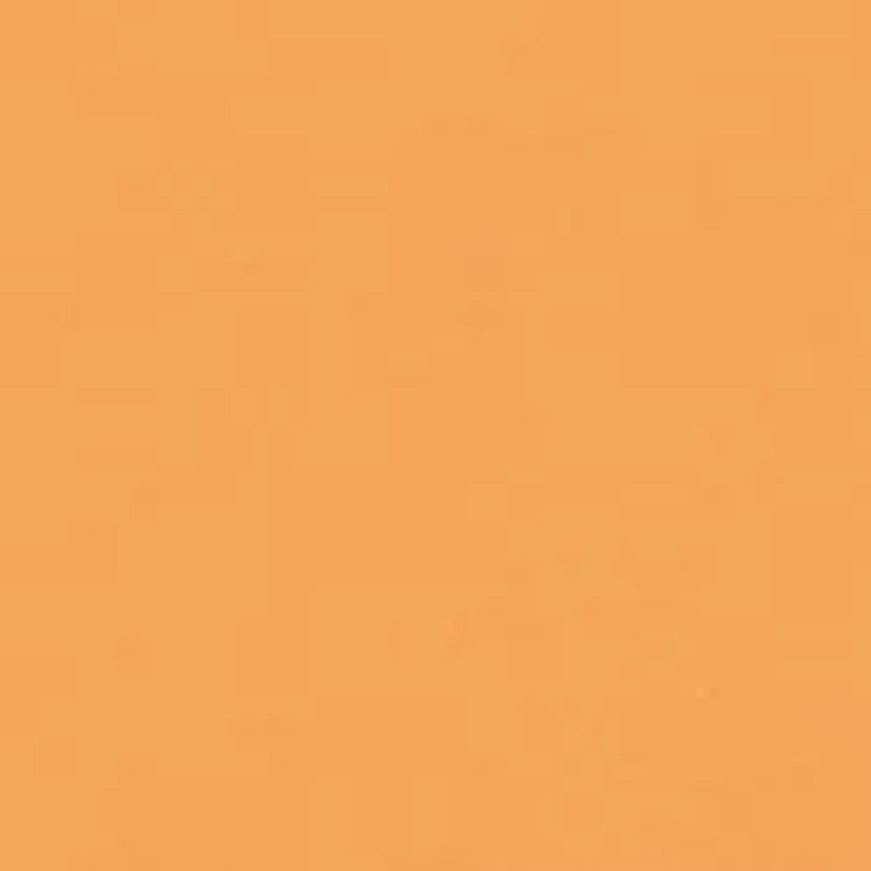 Toddler Boys Shirt and Shorts Set