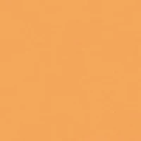 Toddler Boys Shirt and Shorts Set