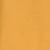 Baby Girls Harvest Motif Top and Printed Leggings Set