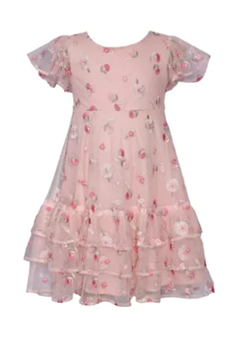 Toddler Girls Embroidered Mesh Ruffle Dress