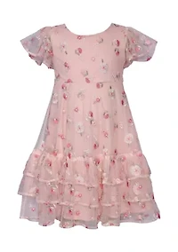 Toddler Girls Embroidered Mesh Ruffle Dress