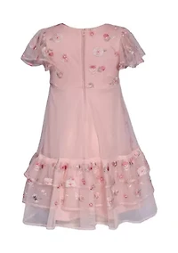 Toddler Girls Embroidered Mesh Ruffle Dress