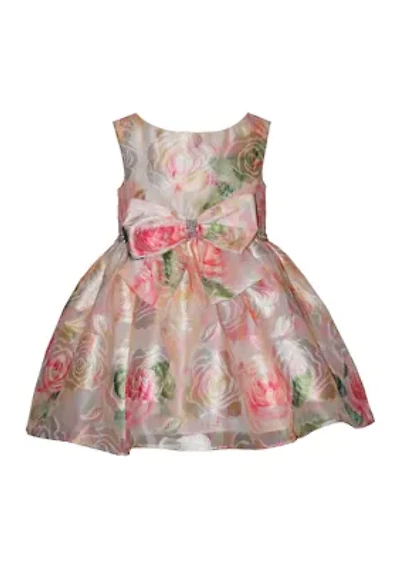 Toddler Girls Burnout Jacquard Dress