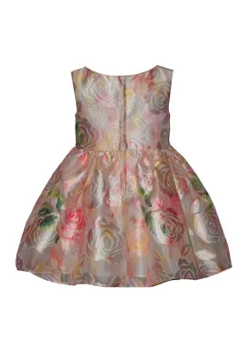 Toddler Girls Burnout Jacquard Dress