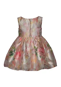 Toddler Girls Burnout Jacquard Dress