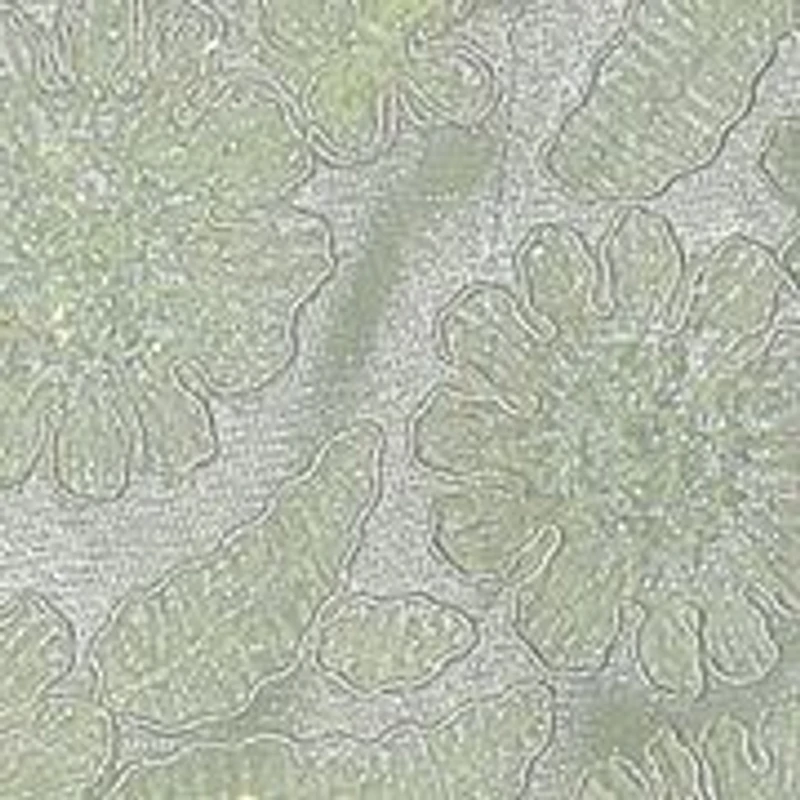 Baby Girls Tie Shoulder Ballerina Dress