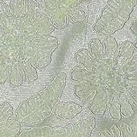 Baby Girls Tie Shoulder Ballerina Dress