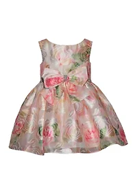 Baby Girls Burnout Jacquard Dress