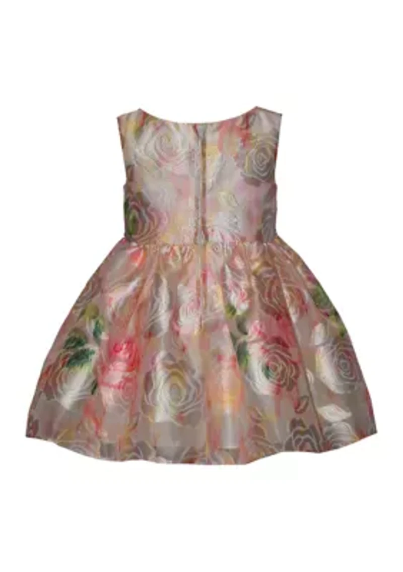 Baby Girls Burnout Jacquard Dress