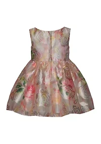 Baby Girls Burnout Jacquard Dress