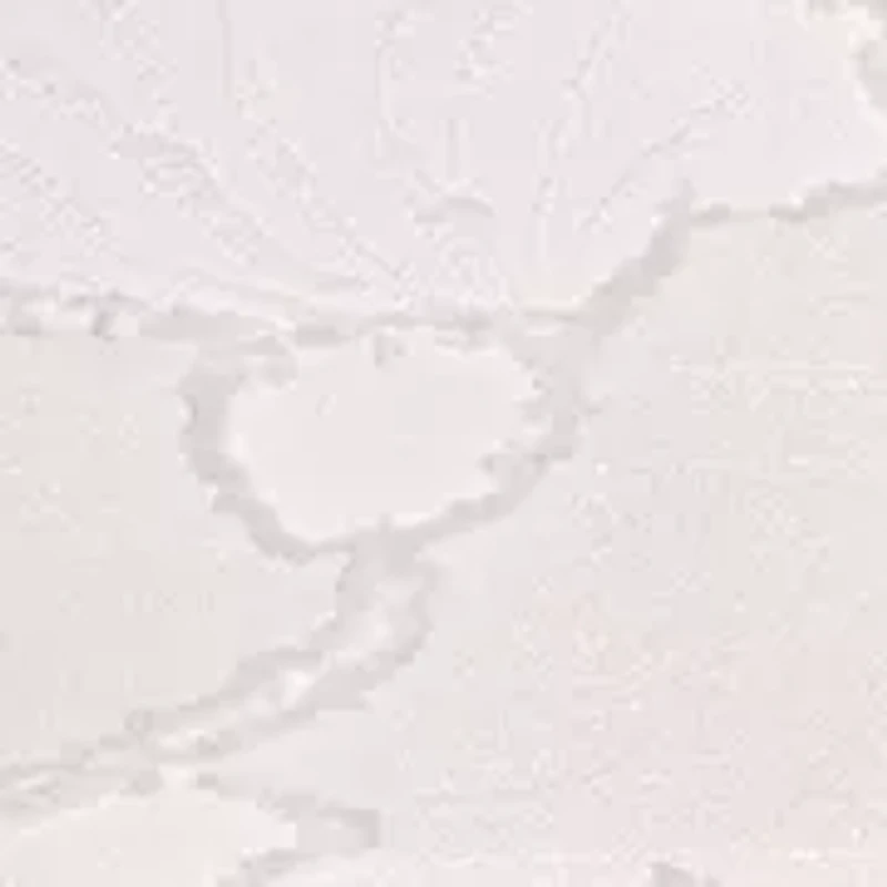 Baby Girls Sleeveless Ruffled Top and Printed Shorts Set