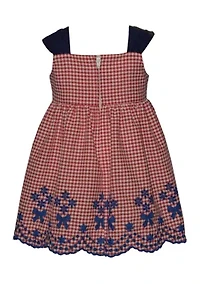 Baby Girls Sleeveless Embroidered Americana Dress