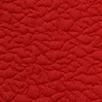 Baby Girls Plaid Bodice Dress with Collared Coat