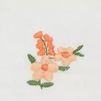 Baby Girls Flowers Bubble Bodysuit with Headband