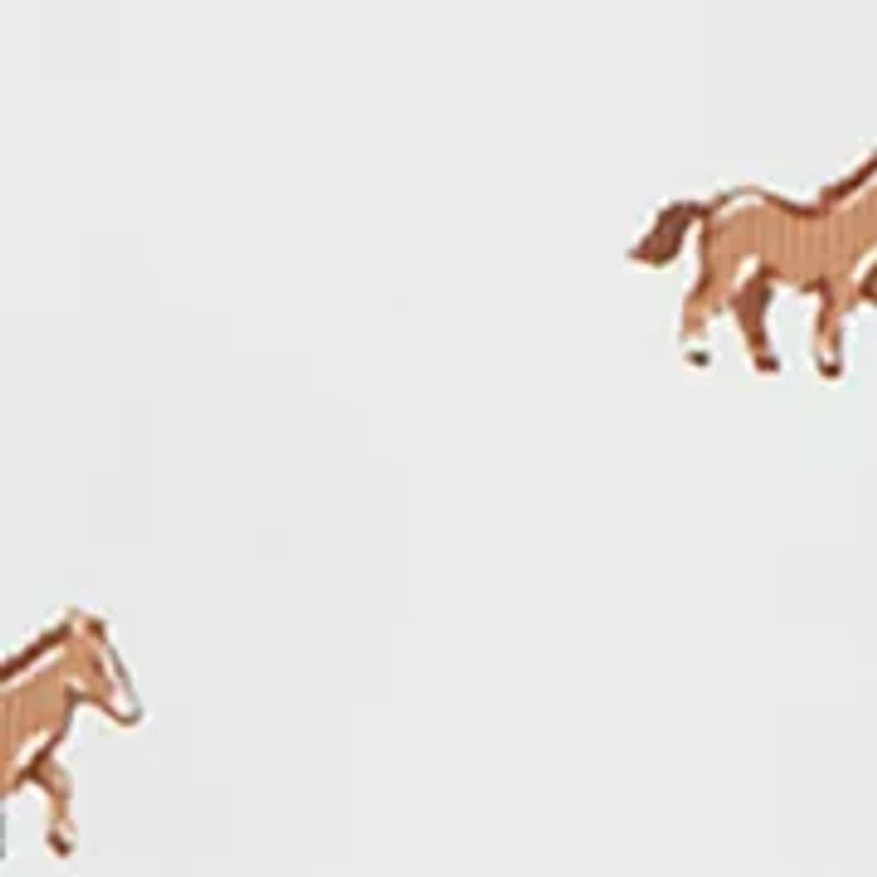 Baby Boys Horses Printed Pants Set