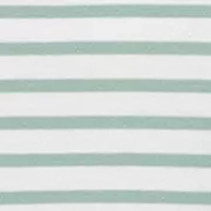 Baby Boys Jungle Jogger Set with Socks