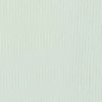 Baby Boys Dino Shorts Set