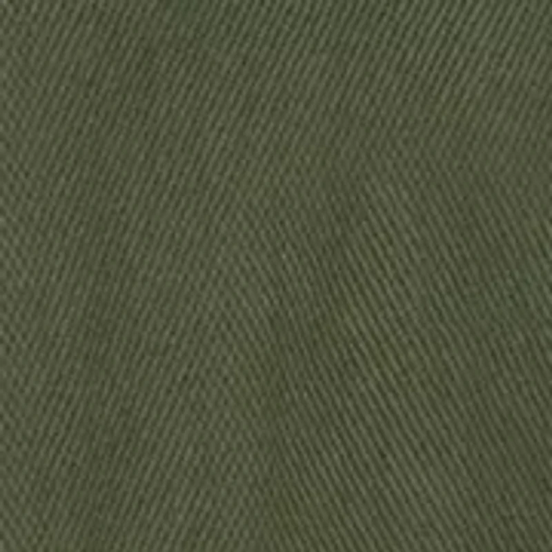 Baby Boys Dinos Overall Set