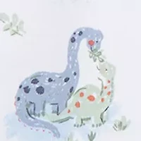 Baby Boys Dinos Two Pack Rompers