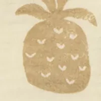 Baby Boys Pineapple Woven Shorts Set