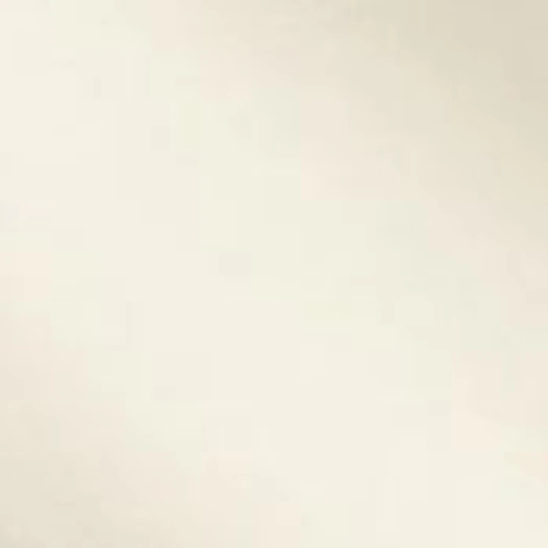 Baby Boys Stretch Chino Shorts