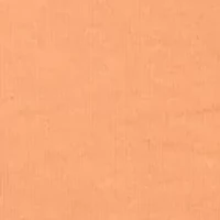 Baby Boys Cotton Jersey Crew Neck T-Shirt