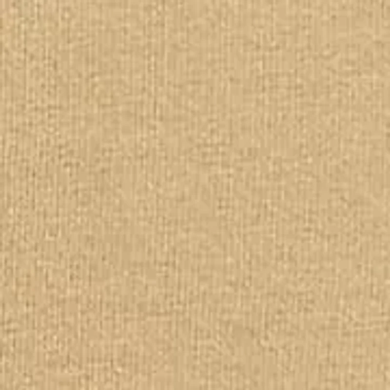 Baby Boys Cotton Jersey Crew Neck T-Shirt