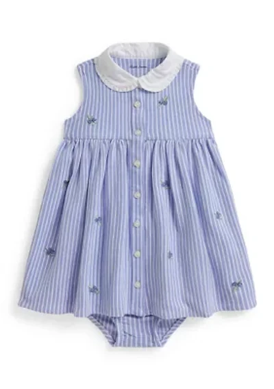 Baby Girls Blueberry Cotton Mesh Dress and Bloomer