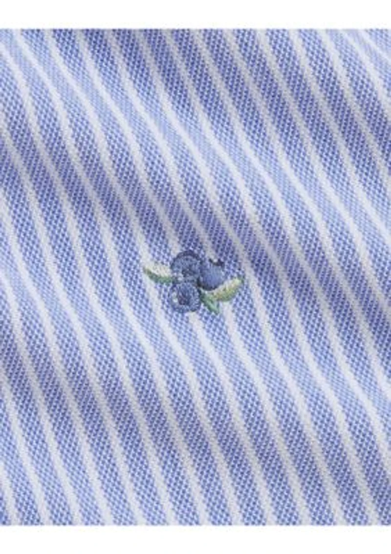 Baby Girls Blueberry Cotton Mesh Dress and Bloomer