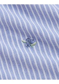 Baby Girls Blueberry Cotton Mesh Dress and Bloomer