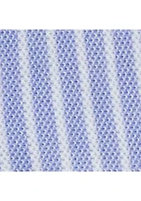 Baby Girls Blueberry Cotton Mesh Dress and Bloomer